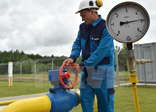 ЕС пригласил Россию и Украину к трехсторонней встрече по газу - ảnh 1